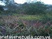 Vendo terreno en el oriente venezolano