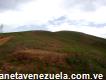 Vendo terreno de 14 hectáreas en Trujillo