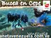 Puerto Escondido Dive Center